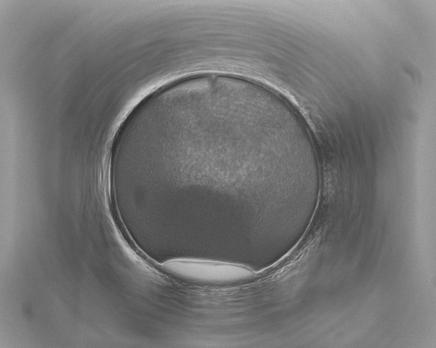 X0000115511515200911201628