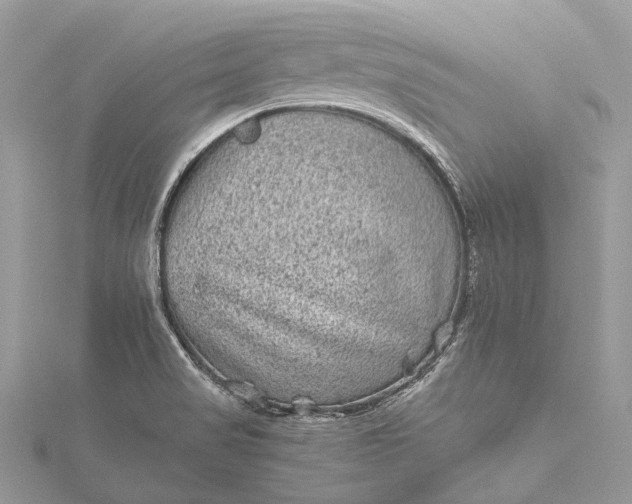 X0000115511517200911201628