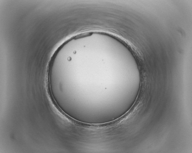 X0000115511518200911201628