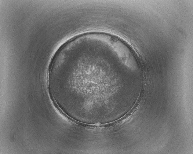 X0000115511519200911201628