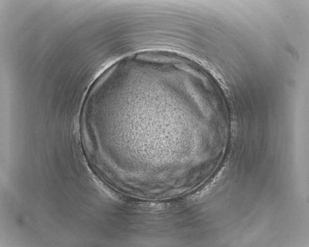 X0000115511521200911201628