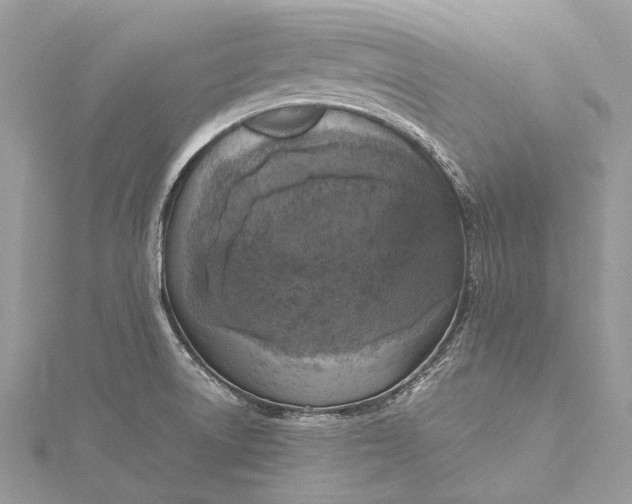 X0000115511522200911201628