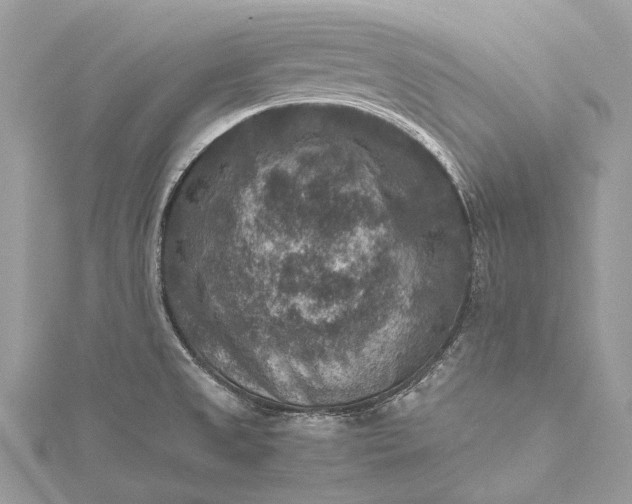 X0000115511525200911201629