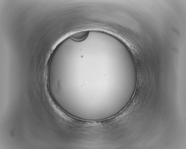 X0000115511526200911201629