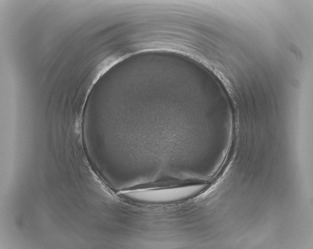 X0000115511529200911201629