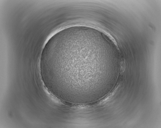 X0000115511530200911201629