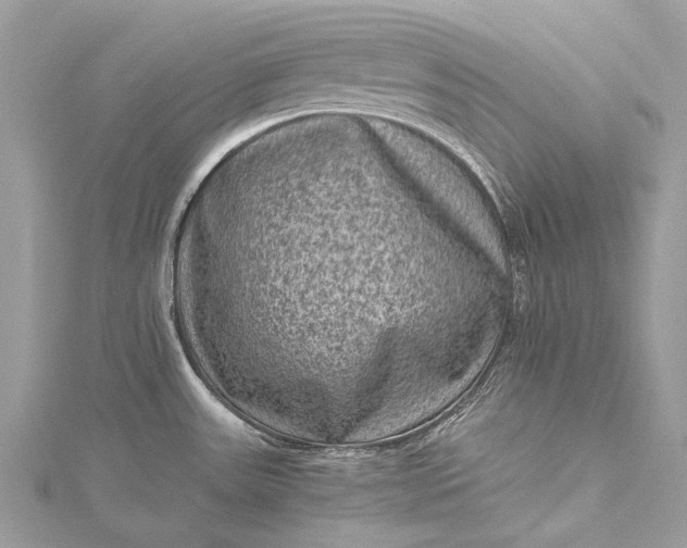 X0000115511531200911201629