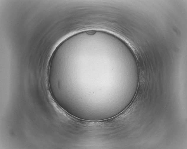 X0000115511534200911201629