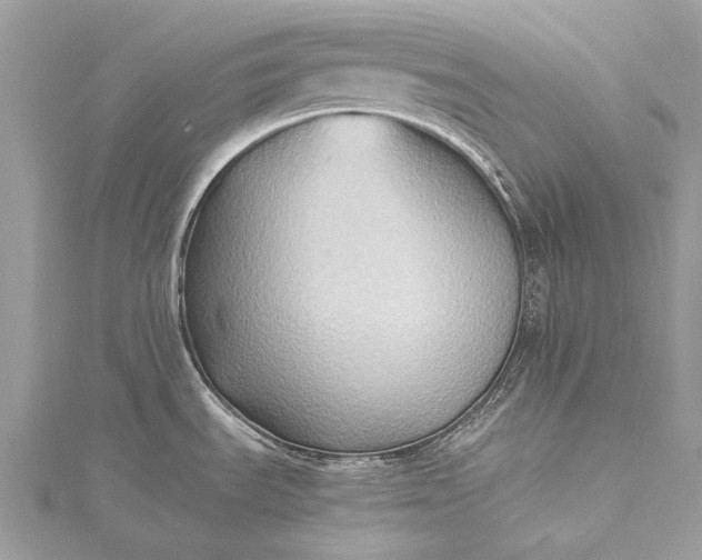 X0000115511535200911201629