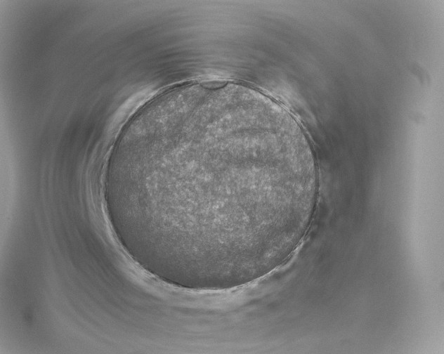 X0000115510001200911271440