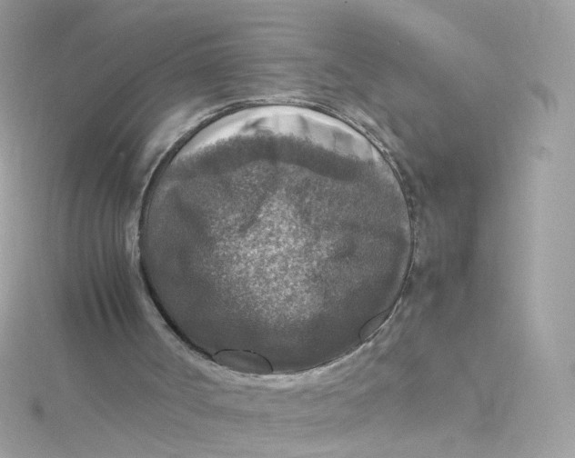 X0000115510002200911271440