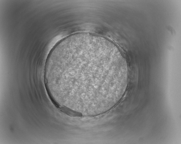 X0000115510003200911271440