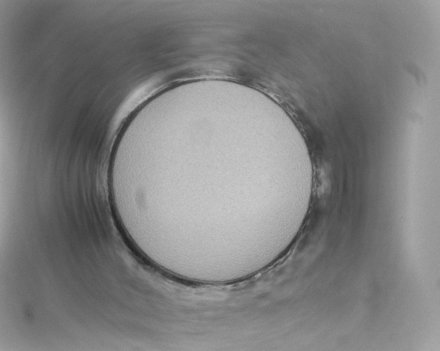 X0000115510004200911271440