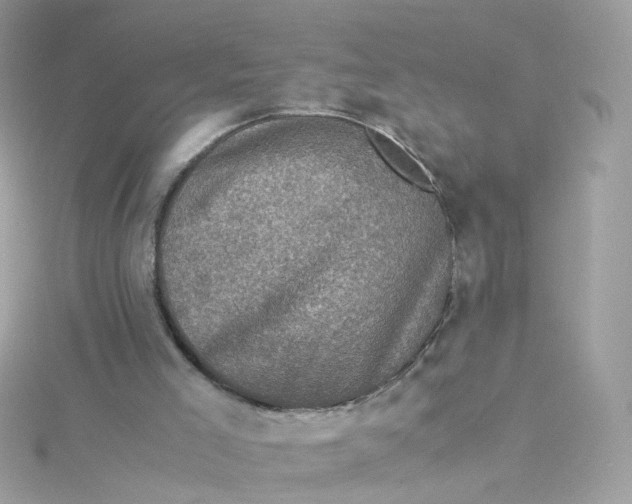 X0000115510005200911271440