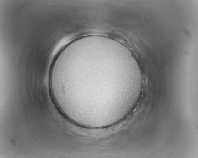 X0000115510006200911271440