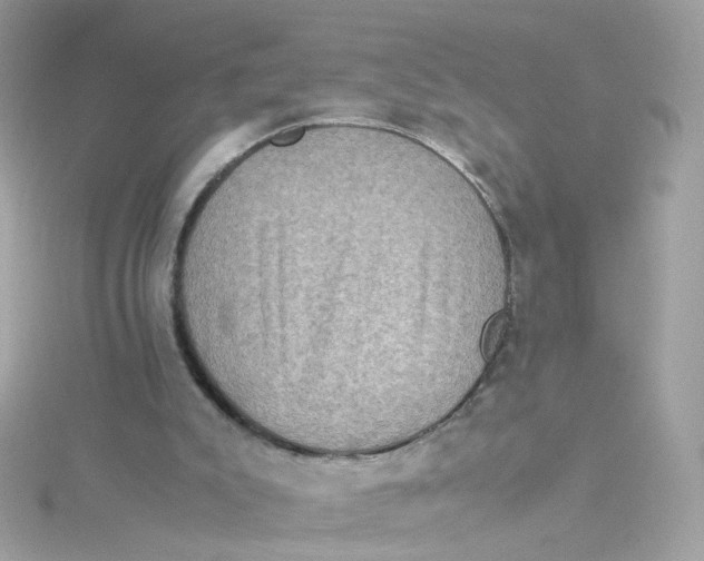 X0000115510007200911271440