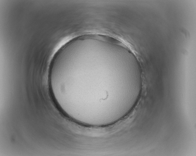 X0000115510008200911271440