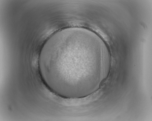 X0000115510009200911271440