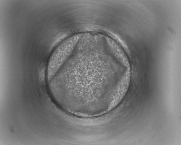 X0000115510010200911271440