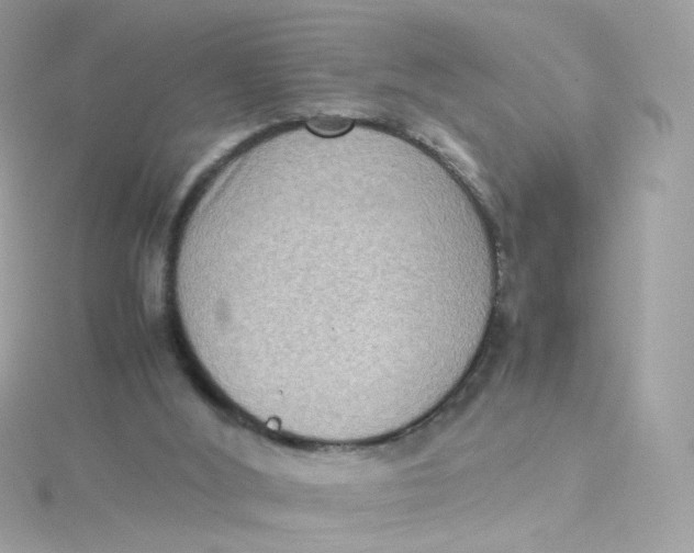 X0000115510012200911271440