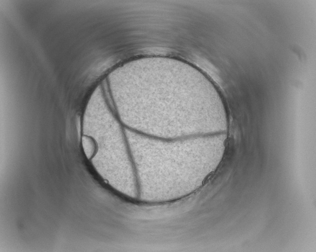 X0000115510013200911271440