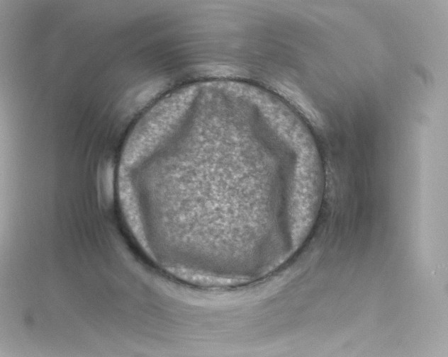 X0000115510014200911271440