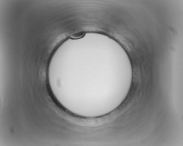 X0000115510015200911271440