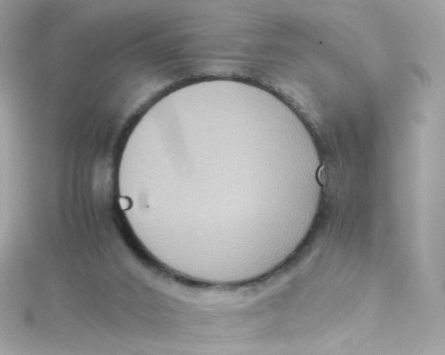 X0000115510016200911271440