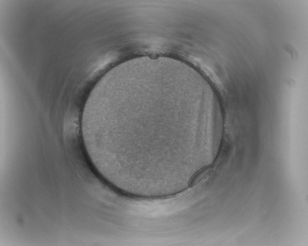 X0000115510017200911271440