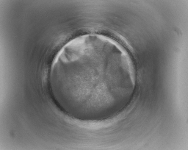 X0000115510018200911271440