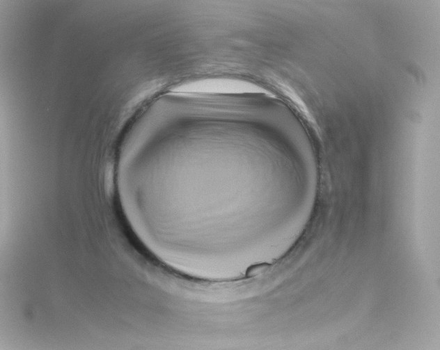 X0000115510019200911271440