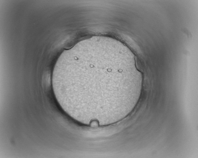 X0000115510021200911271440