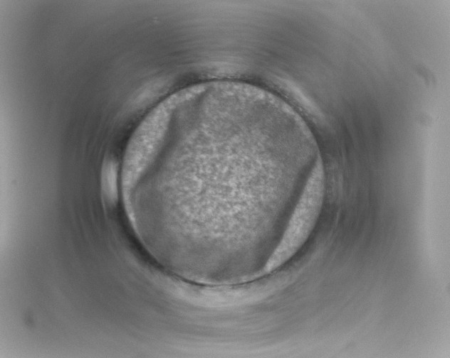 X0000115510022200911271440