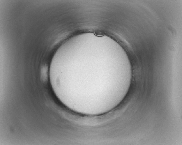 X0000115510024200911271440