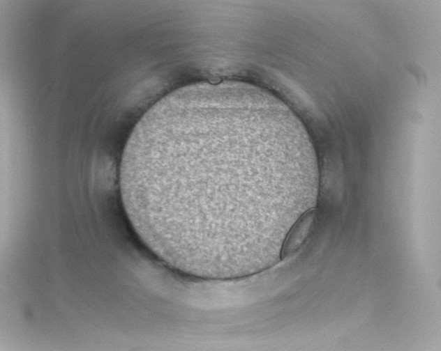 X0000115510025200911271440