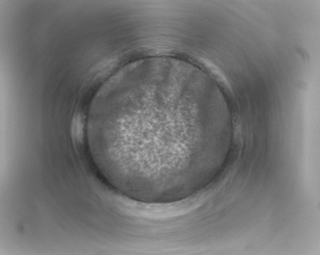 X0000115510026200911271440