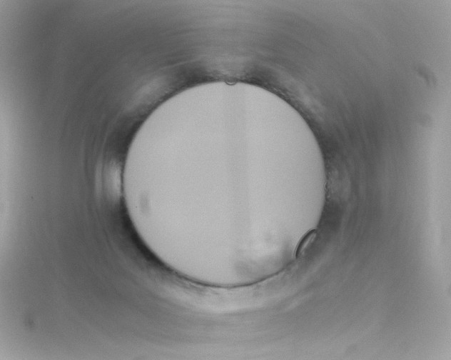 X0000115510027200911271440