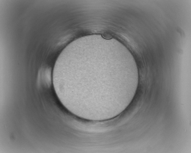 X0000115510028200911271440