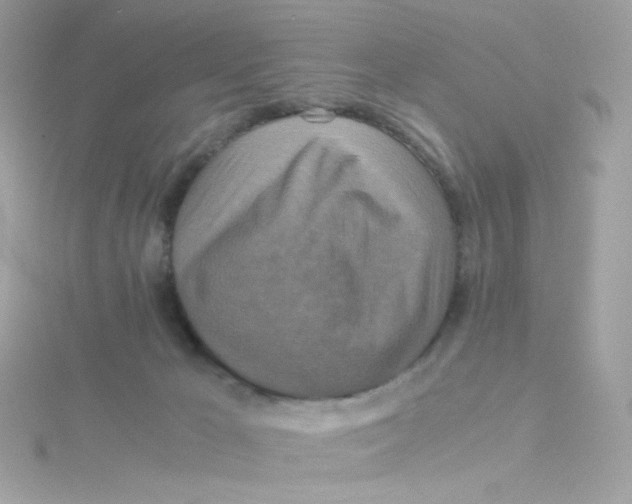 X0000115510029200911271440