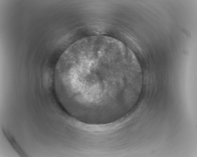 X0000115510030200911271440