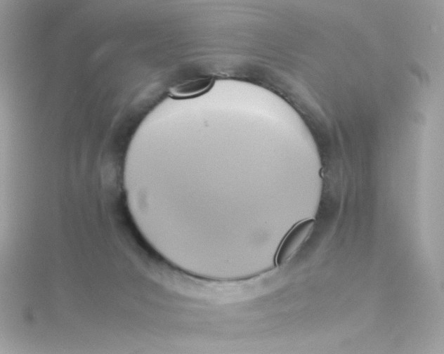 X0000115510031200911271440