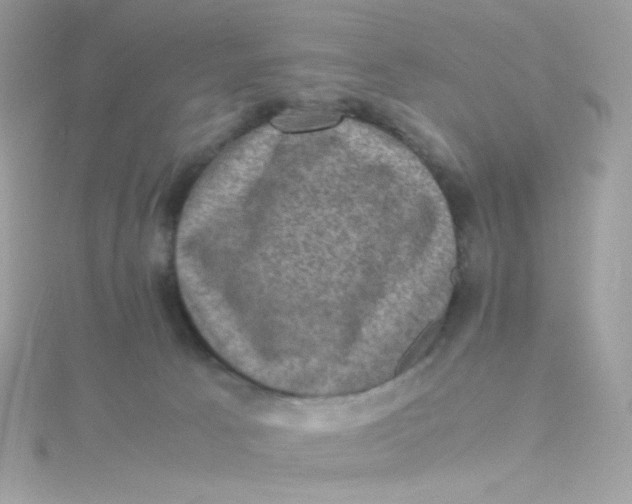 X0000115510033200911271440