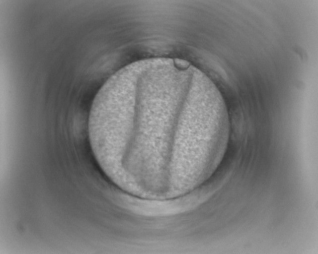 X0000115510034200911271440