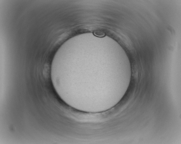 X0000115510036200911271440