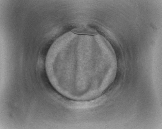 X0000115510037200911271440