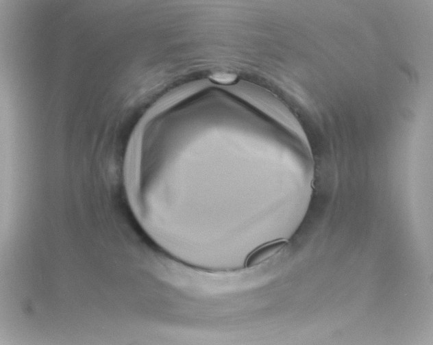 X0000115510039200911271440