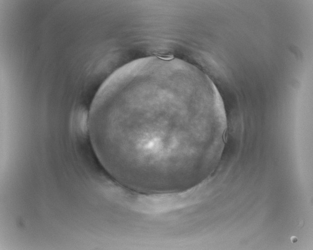 X0000115510041200911271440