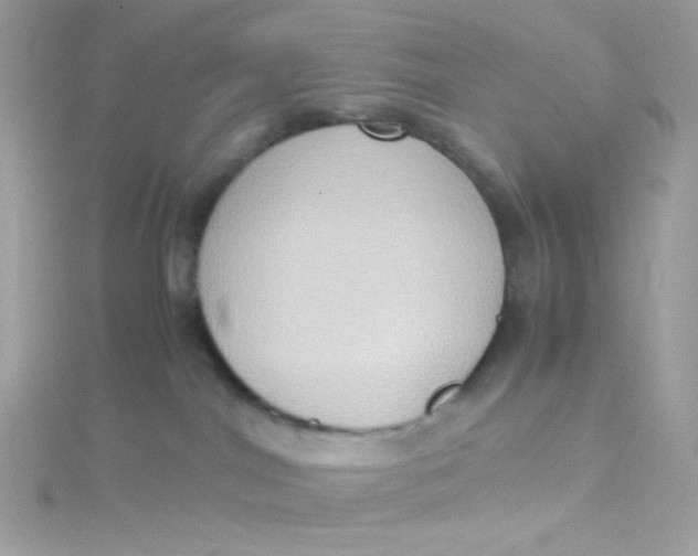 X0000115510044200911271440