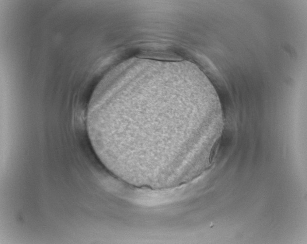 X0000115510045200911271440