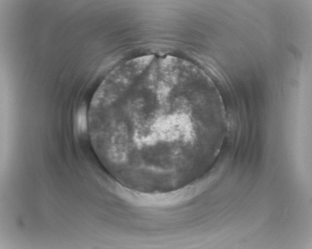 X0000115510046200911271440